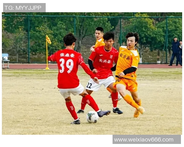 湖州足球热潮兴起青少年积极参与提升城市体育文化氛围 湖州足球热潮兴起青少年积极参与提升城市体育文化氛围