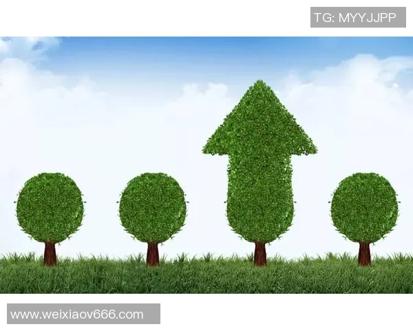 绿叶足球:助力青少年成长的绿色运动新风尚与未来发展展望 绿叶足球:助力青少年成长的绿色运动新风尚与未来发展展望