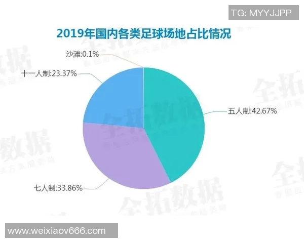 贩卖足球料的市场现状与发展趋势分析及其对足球产业的影响