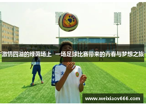激情四溢的绿茵场上  一场足球比赛带来的青春与梦想之旅