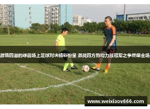 激情四溢的绿茵场上足球对决精彩纷呈 激战四方势均力敌冠军之争燃爆全场