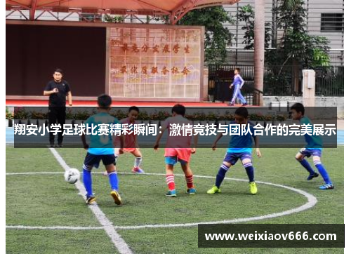 翔安小学足球比赛精彩瞬间：激情竞技与团队合作的完美展示