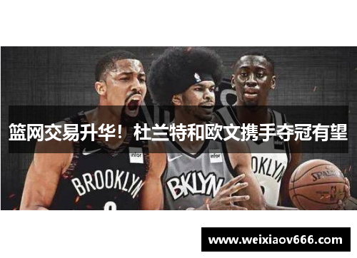 篮网交易升华！杜兰特和欧文携手夺冠有望