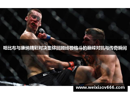 哈比布与康纳精彩对决集锦回顾终极格斗的巅峰对抗与传奇瞬间