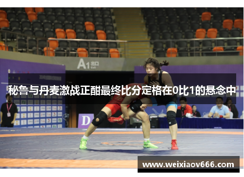 秘鲁与丹麦激战正酣最终比分定格在0比1的悬念中