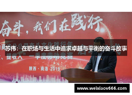 苏伟：在职场与生活中追求卓越与平衡的奋斗故事