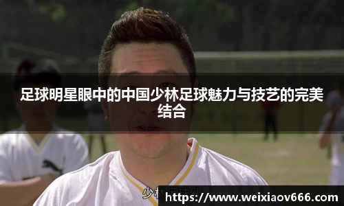 足球明星眼中的中国少林足球魅力与技艺的完美结合